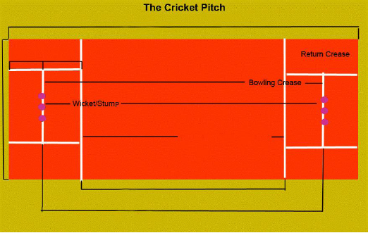 Cricket Field Dimensions