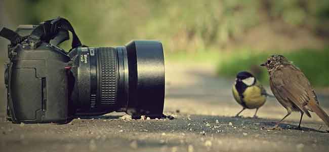 Image result for world photography day