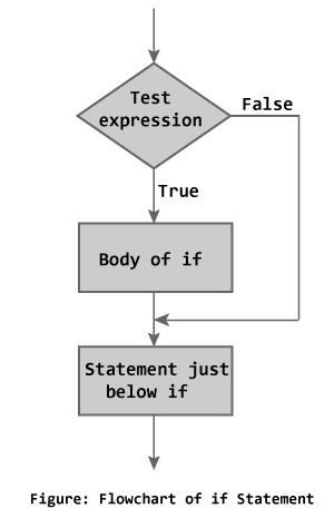 Flowchat of if statement in C++ Programming