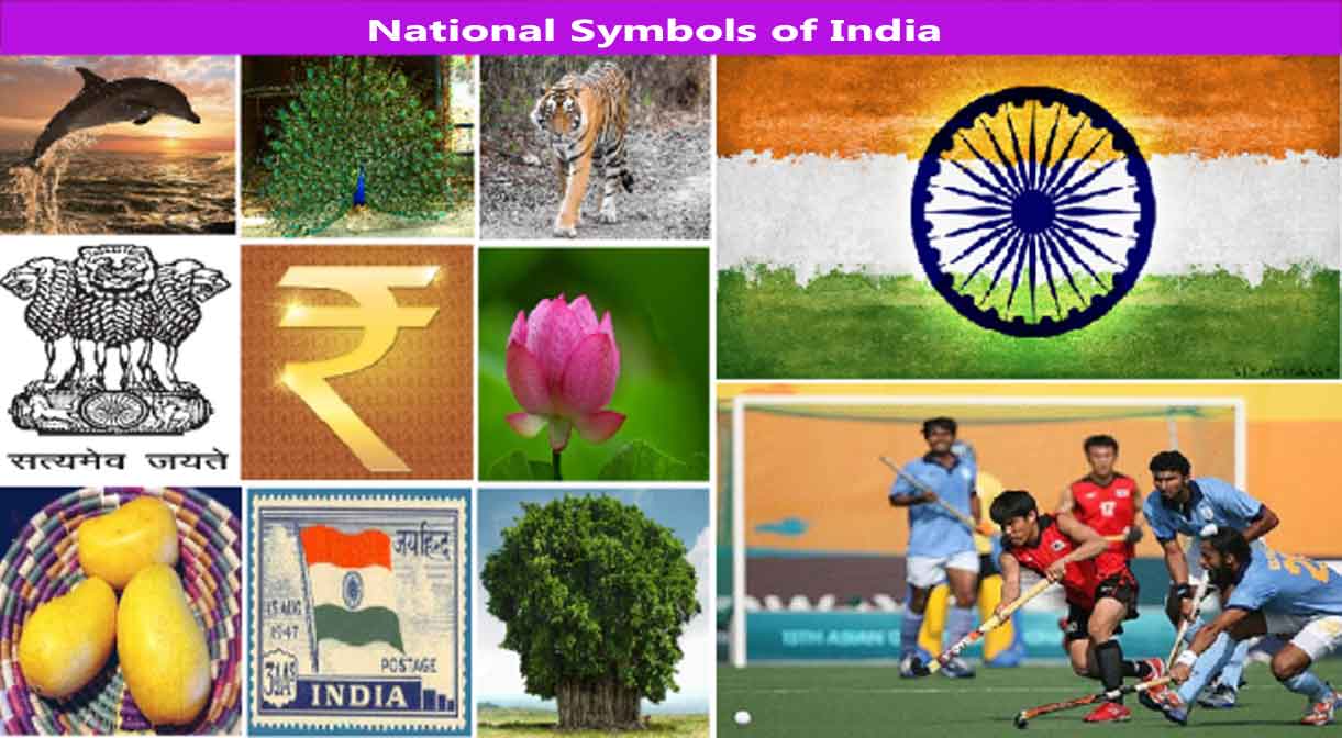 National Symbols Of India - Read Everything 