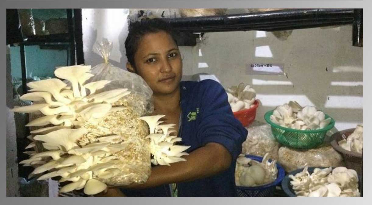 Story of a Success Mushroom Lady Divya Rawat