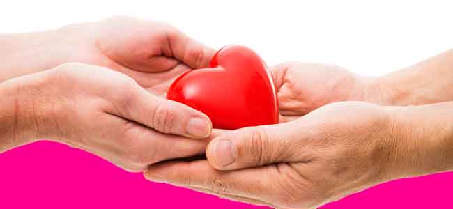 Organ Donation Day